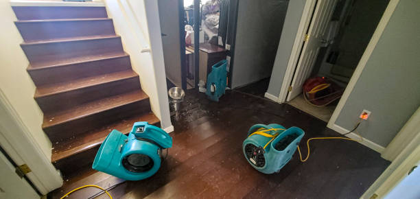 Best 24-hour water damage restoration  in Plantation, FL