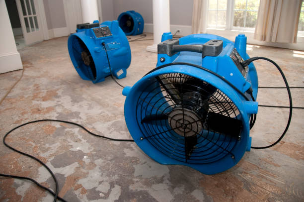 Best 24/7 water damage repair  in Plantation, FL