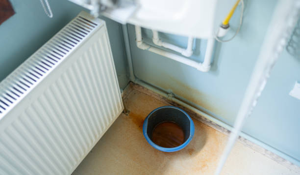 Best Water damage restoration near me  in Plantation, FL