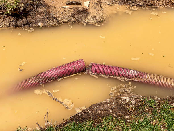 Best Sewage cleanup and water damage restoration  in Plantation, FL