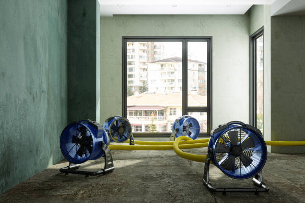 Best Residential water damage restoration  in Plantation, FL