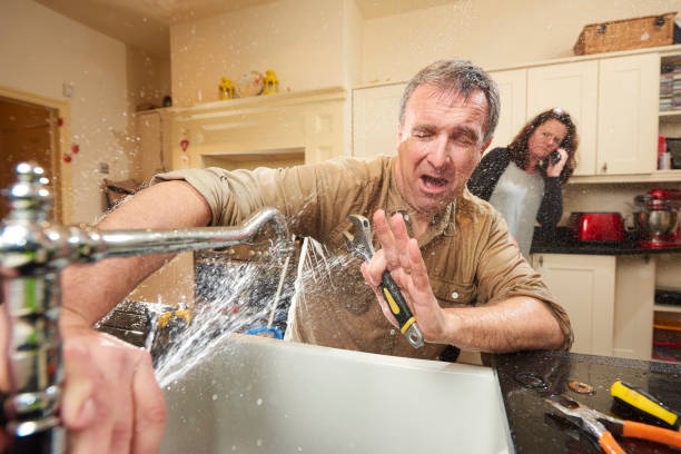 Best Mold removal after water damage  in Plantation, FL